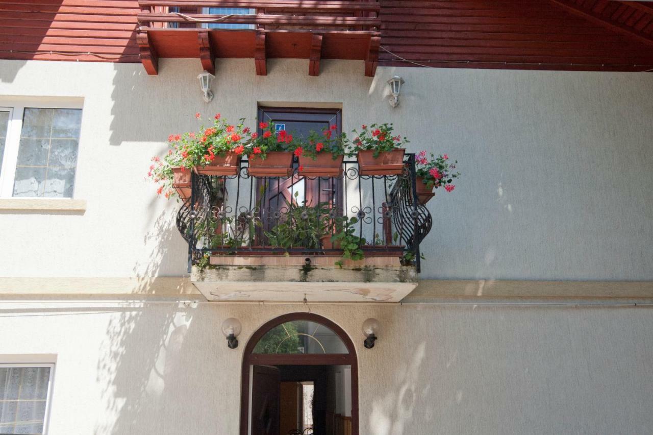 Casa Tudor 시나이아 외부 사진